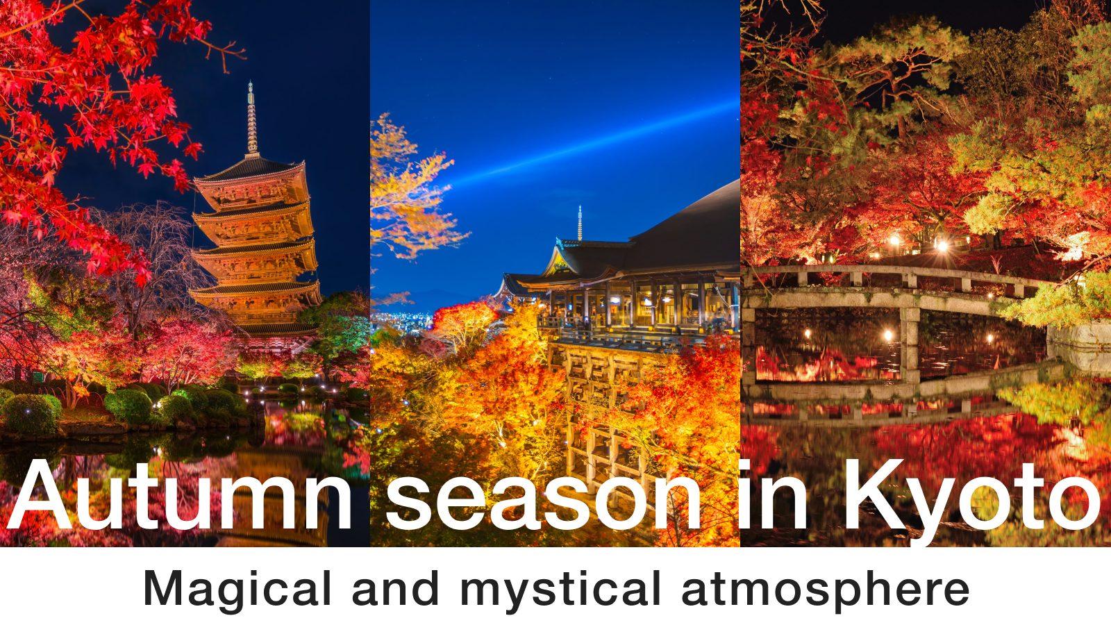 Autumn season in Kyoto -Lighting-up city will navigate you to a magical and mystical world!