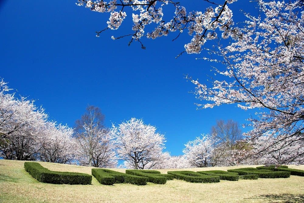 Hotel Laforet Shuzenji