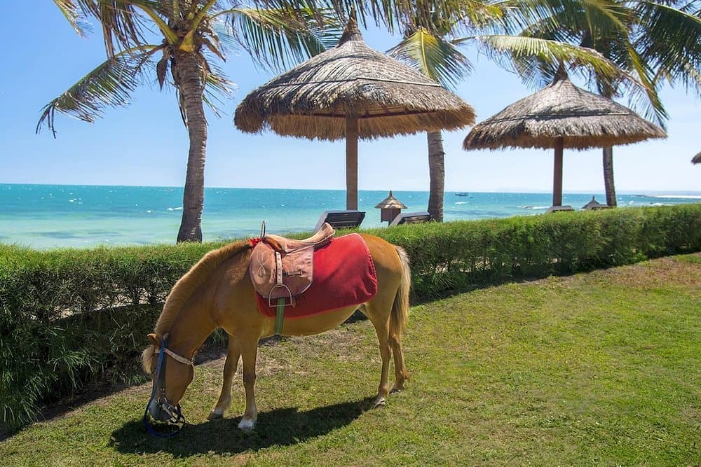 Victoria Phan Thiet Beach Resort & Spa