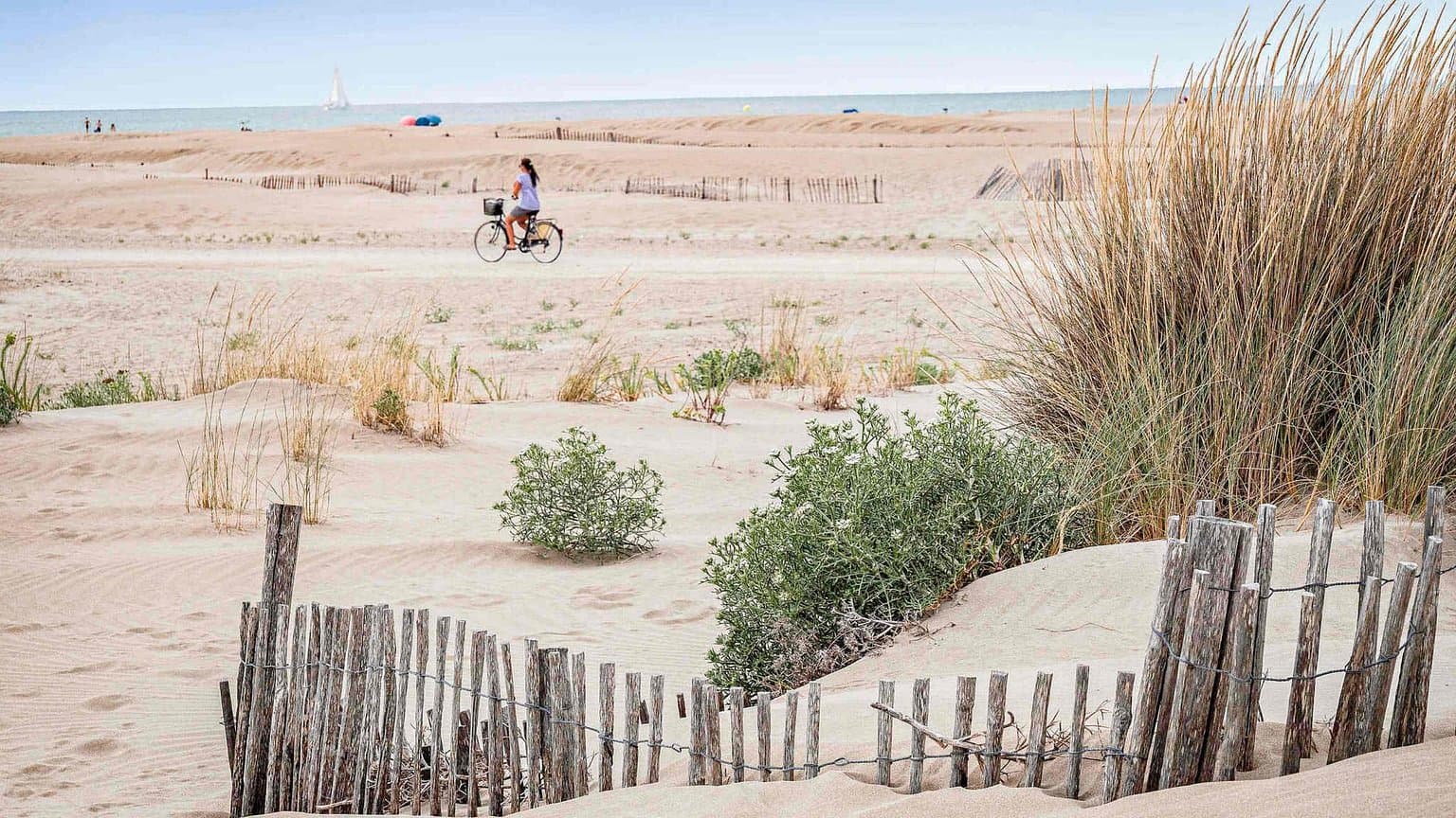 Pullman Montpellier Centre