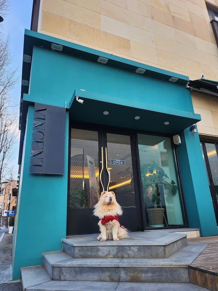 Jeonju Hotel The Vincent