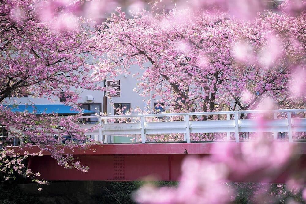 Izu Imaihama Tokyu Hotel