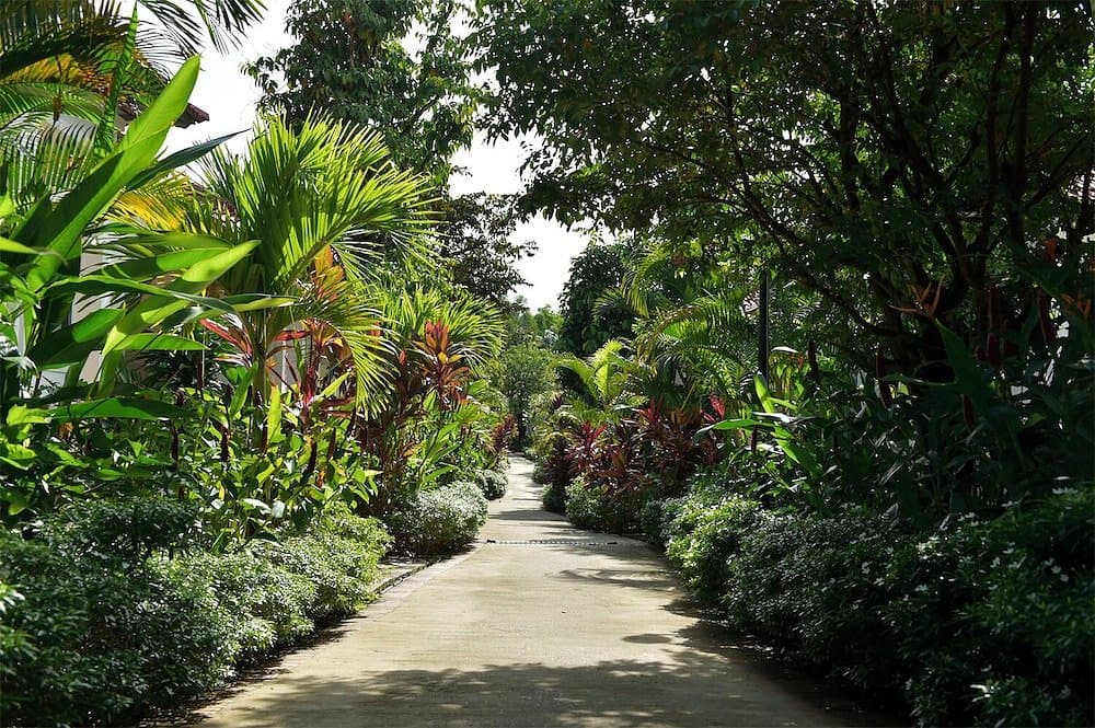 Rainforest Resort Phu Quoc