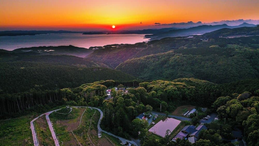 Tsuwabuki-no-Hana