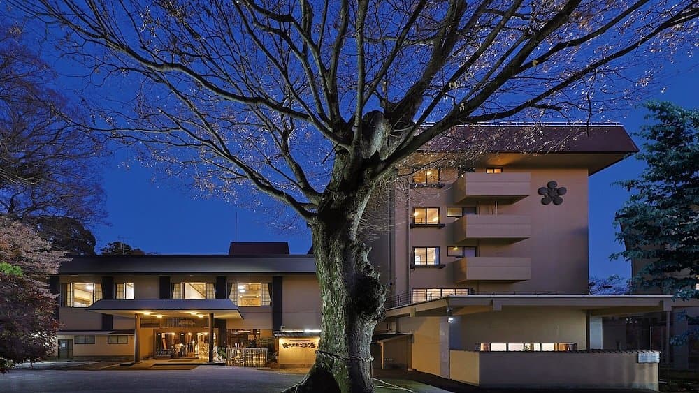 Tsukubasan Onsen Edoya