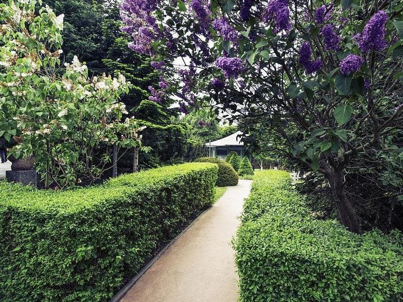 Hotel Mercure Gdansk Posejdon