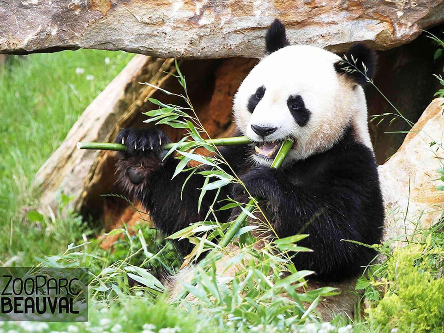 Hôtel Mercure Tours Sud