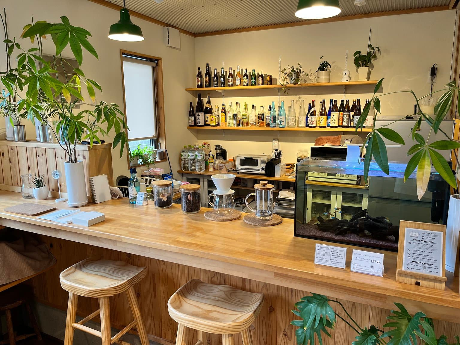 GOTO Backpackers POLE