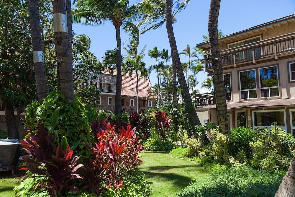코헤아 카이 호텔 마우이 / Kohea Kai Hotel Maui