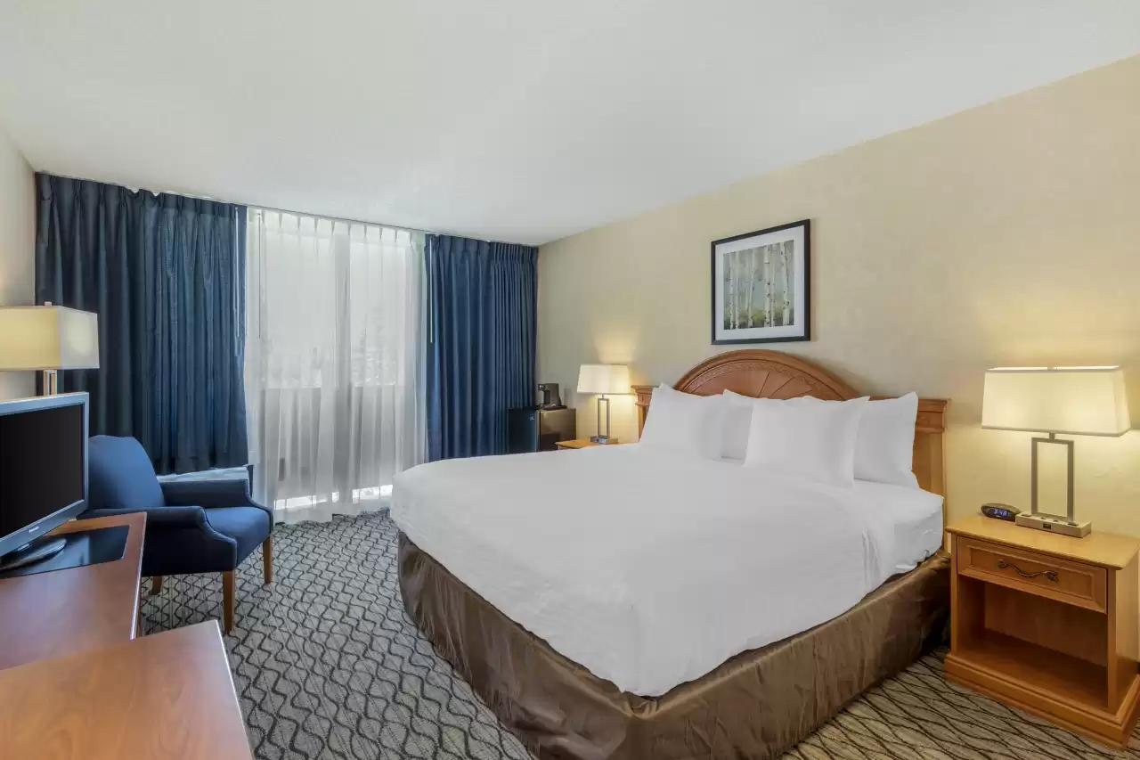 1 King Bed - Clarion Hotel Anaheim Resort