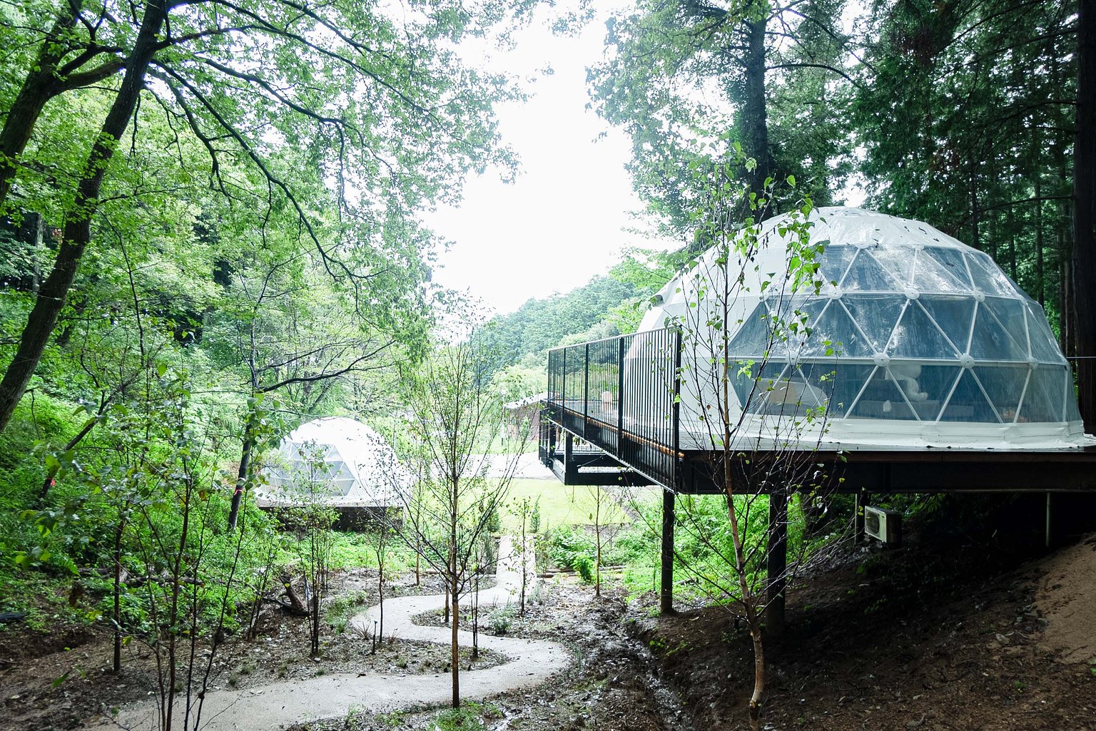 Aerial glamping dome