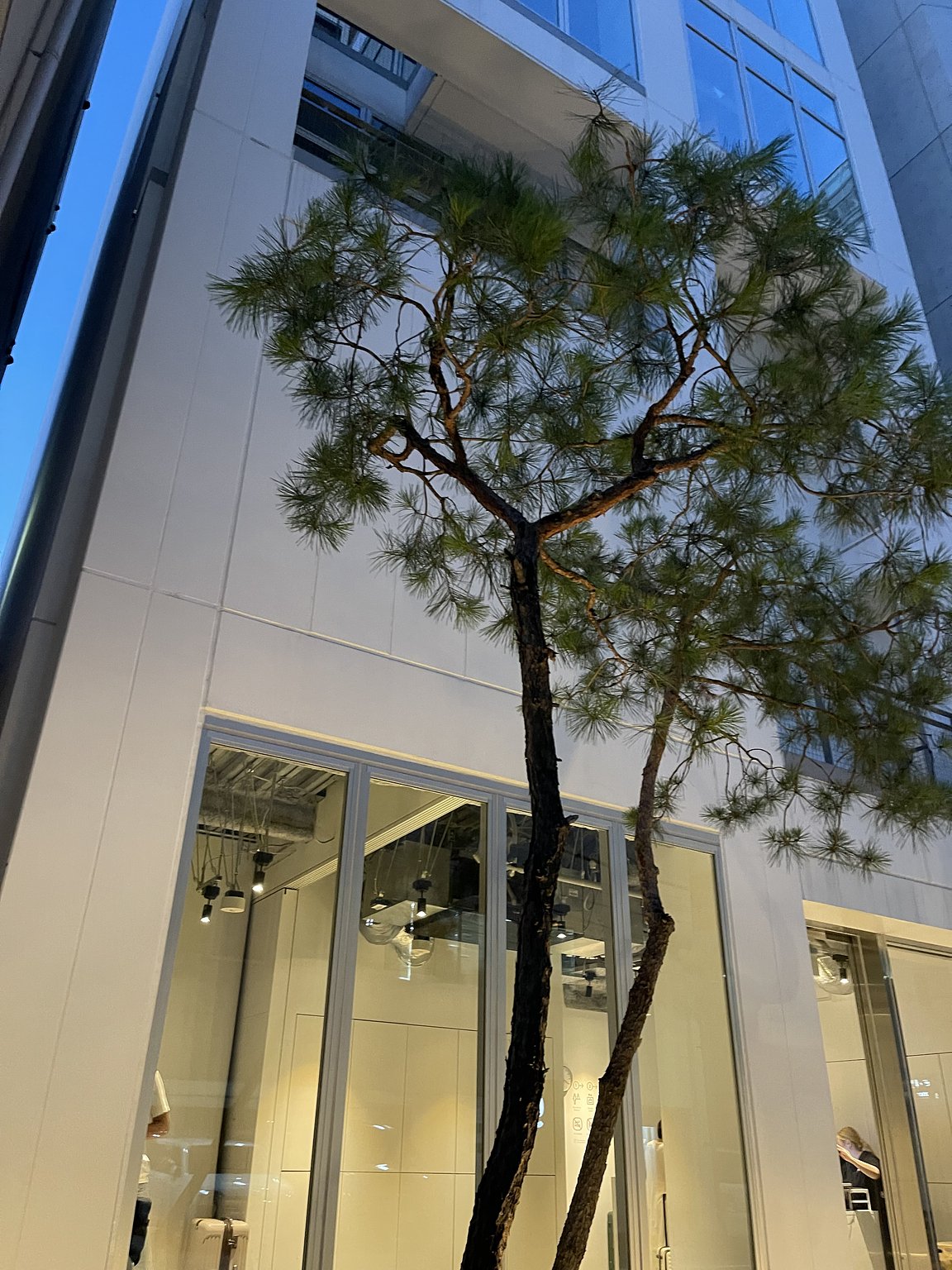 Perfect for Early Morning Flights from Haneda Airport! Rapid Transit to Haneda Airport in No Time!