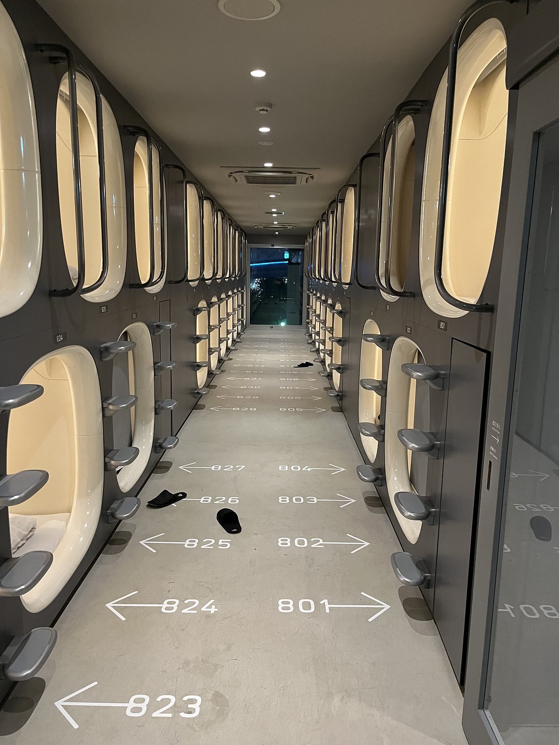 東京巨蛋現場音樂會最佳選擇！