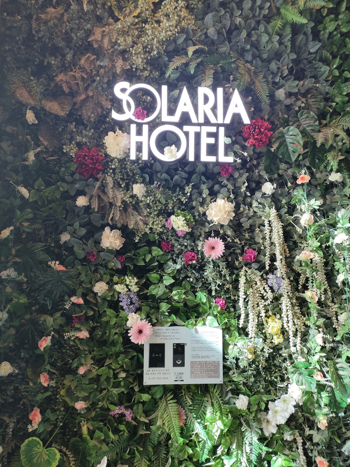 First Trip to Korea: The Most Cost-Effective Hotel for Exploring Busan