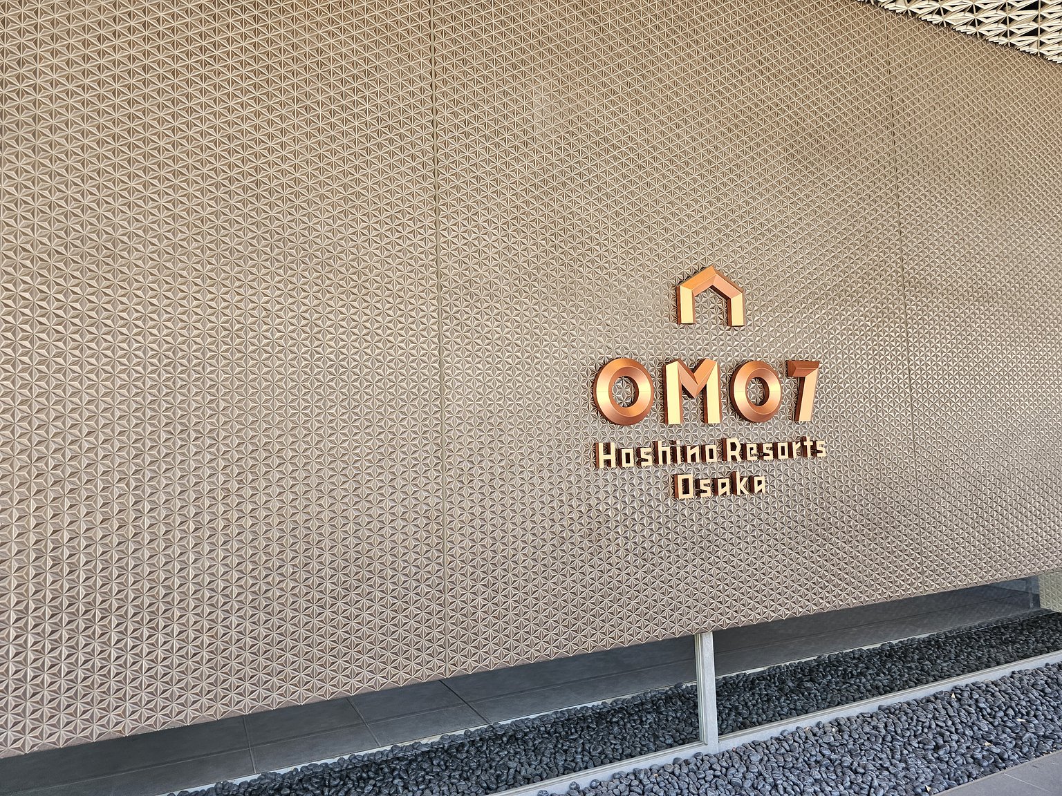 Surprisingly Solo Food Odyssey in Osaka!