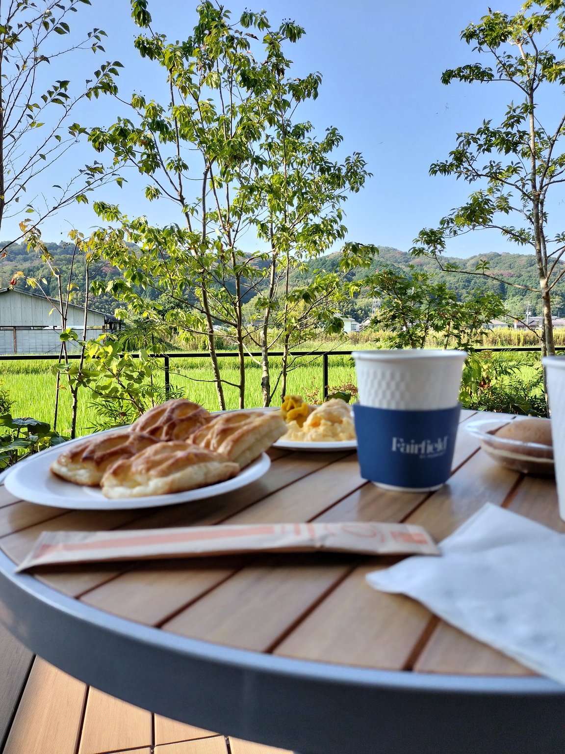 Breakfast on the green-enclosed terrace