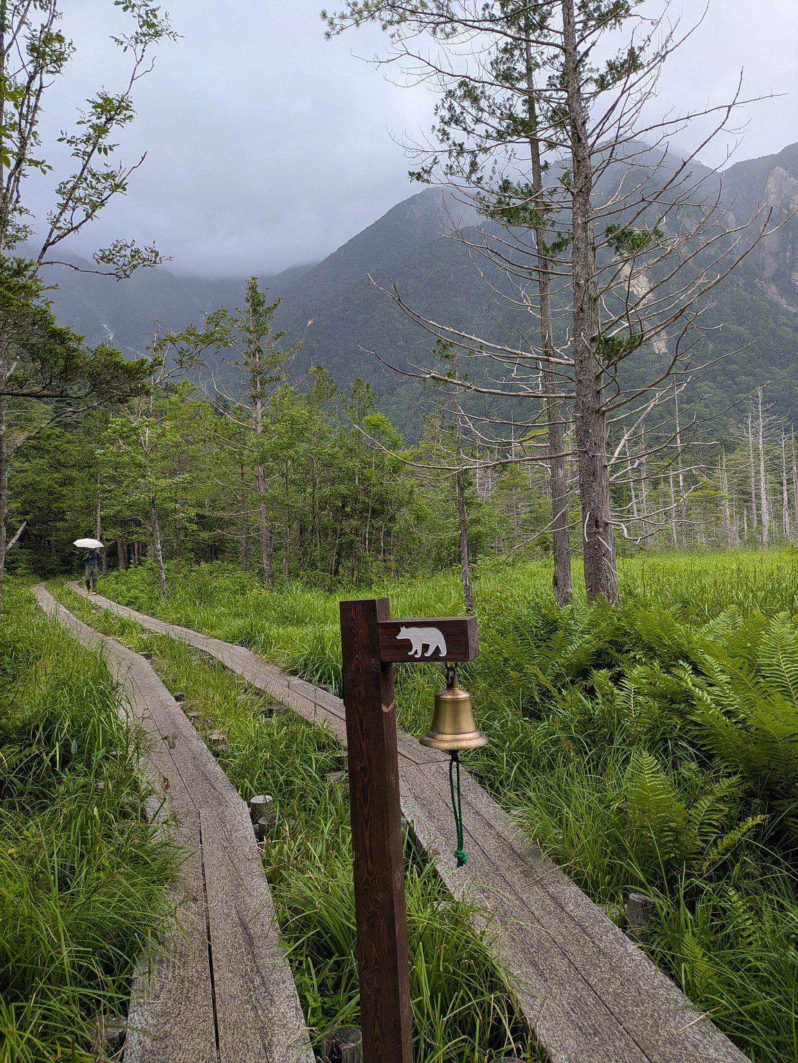 Enjoyable Even in the Rain, But Hope for Clear Skies for First-Timers