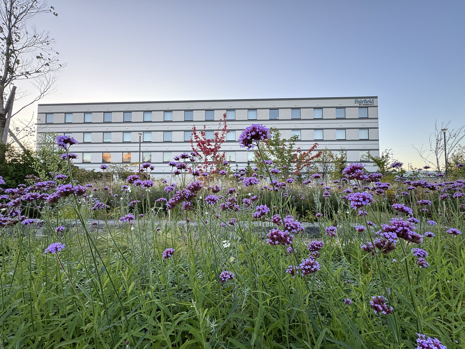 Beautiful Garden Hotel with Blooming Flowers