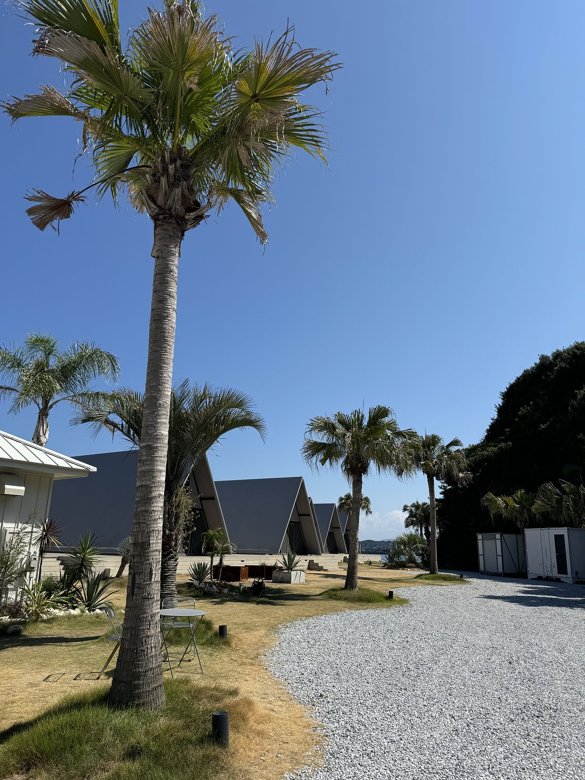 A Fun Summer Vacation with My Dog and Friends' Family