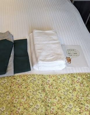 First Time in Nara: Hot Springs and Delicious Food