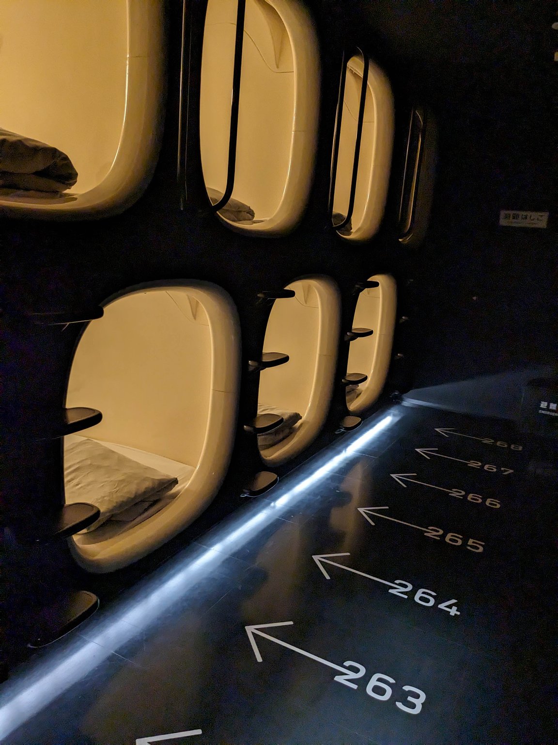 A Thrilling Experience Like a Spaceship!