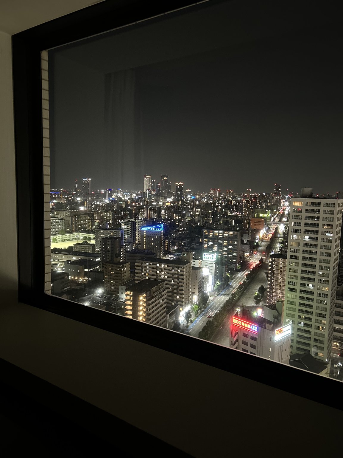 2-Day Nagoya Trip: Night Views, Relaxation, and Hotel Gourmet
