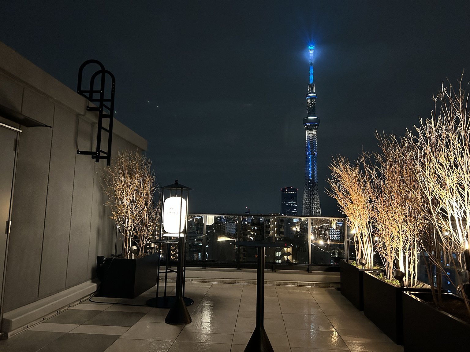Stunning Skytree View from the Rooftop