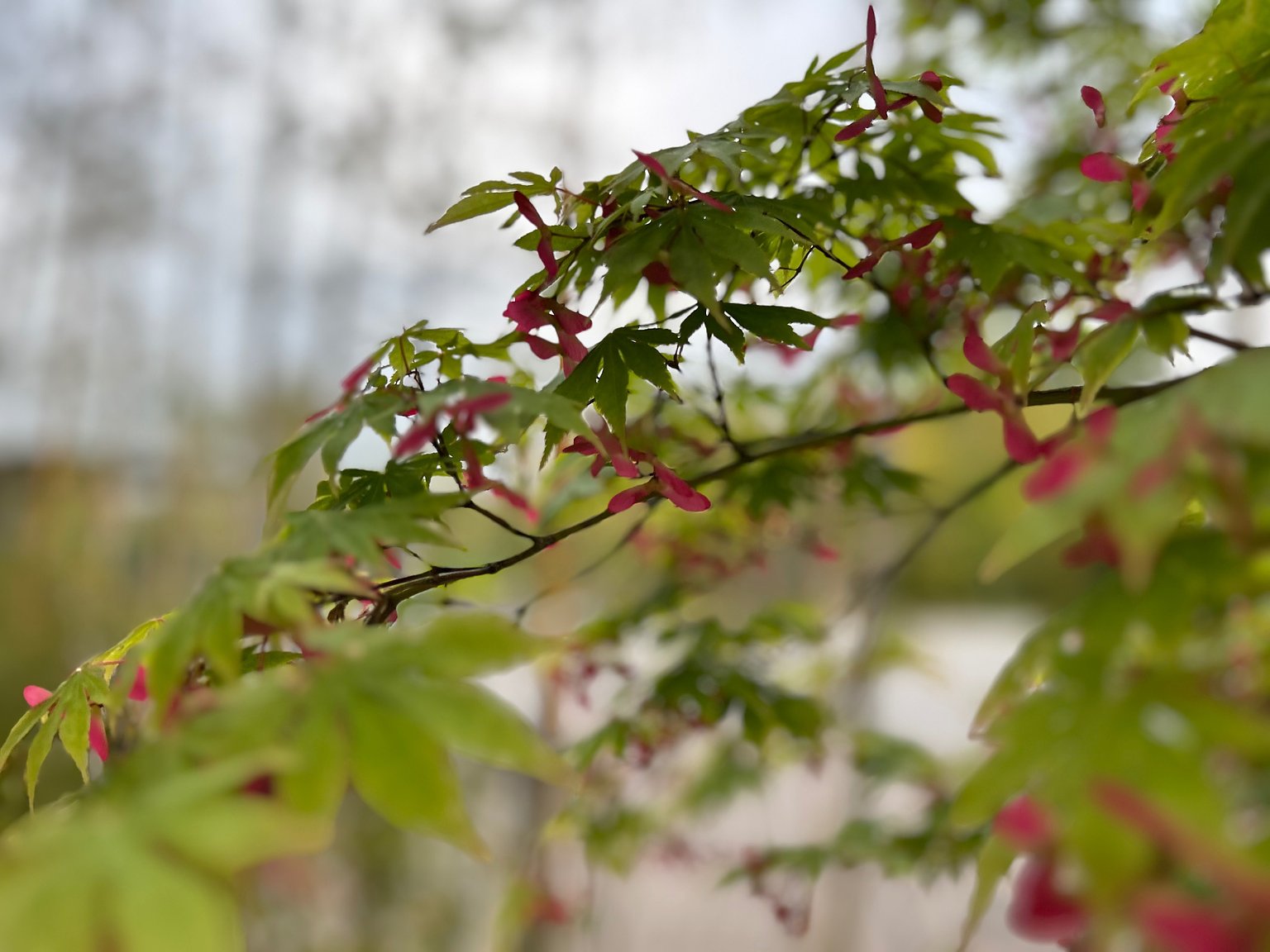 Perfect for Those with Children!