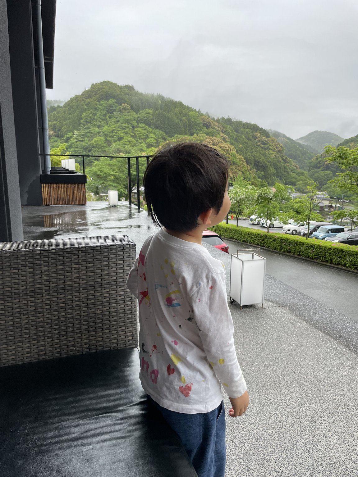 Breathing with the Forest 🌳