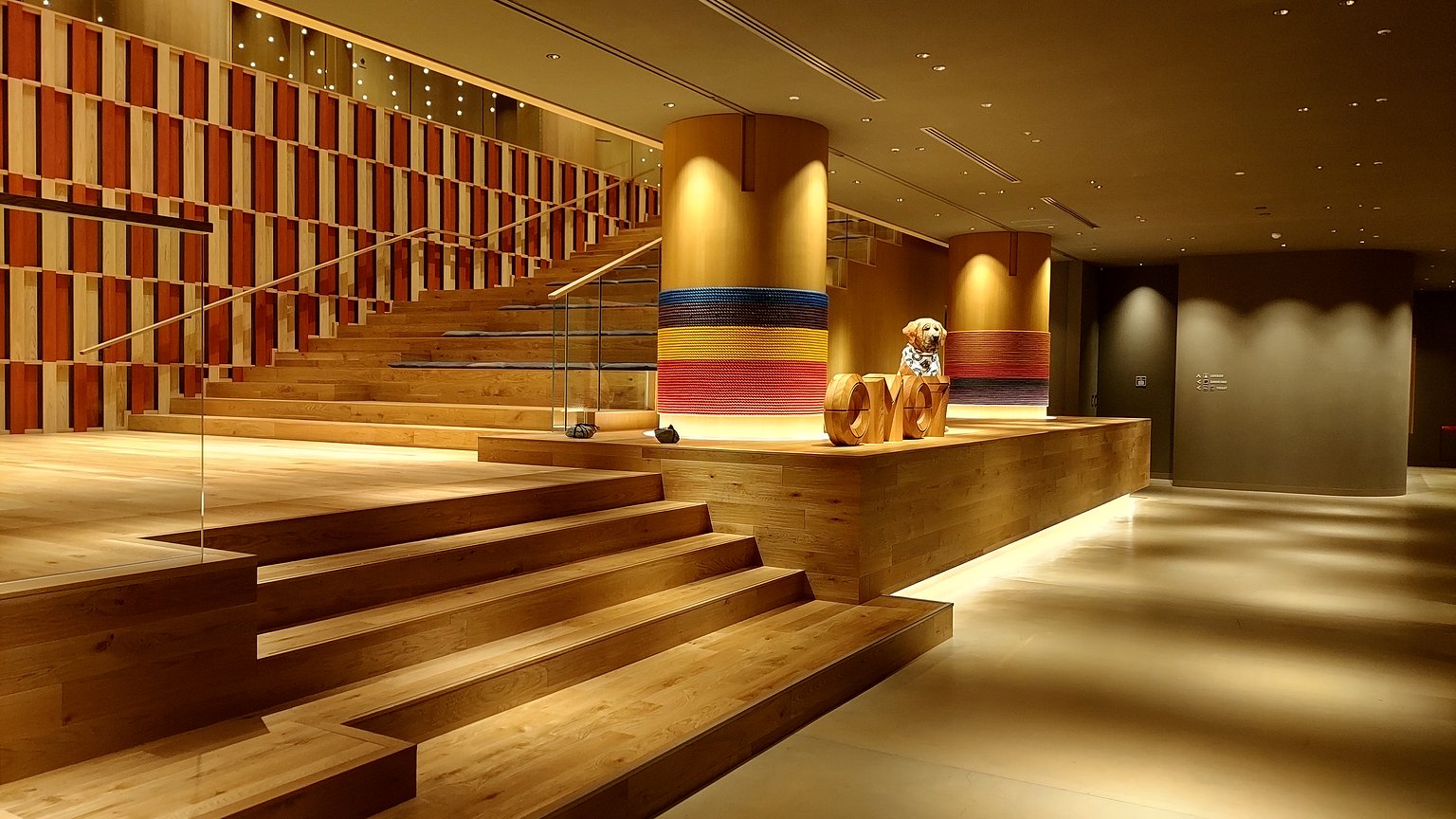 Yosakoi 現場演出太棒了！