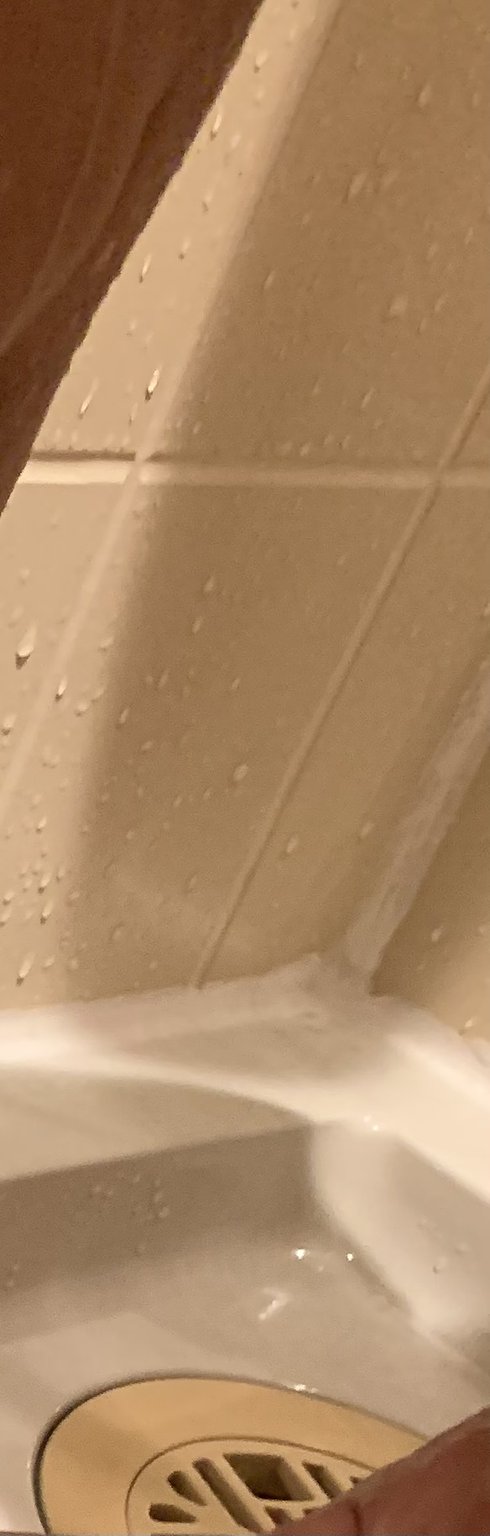 Akasaka Illumination