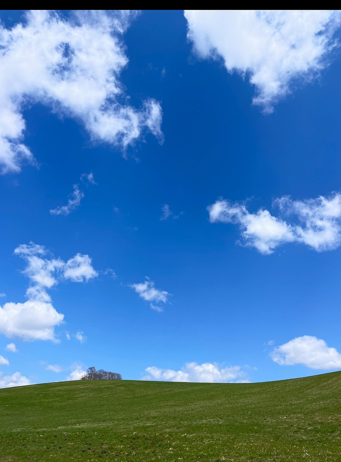 A Trip to the Filming Locations of Netflix's First Love