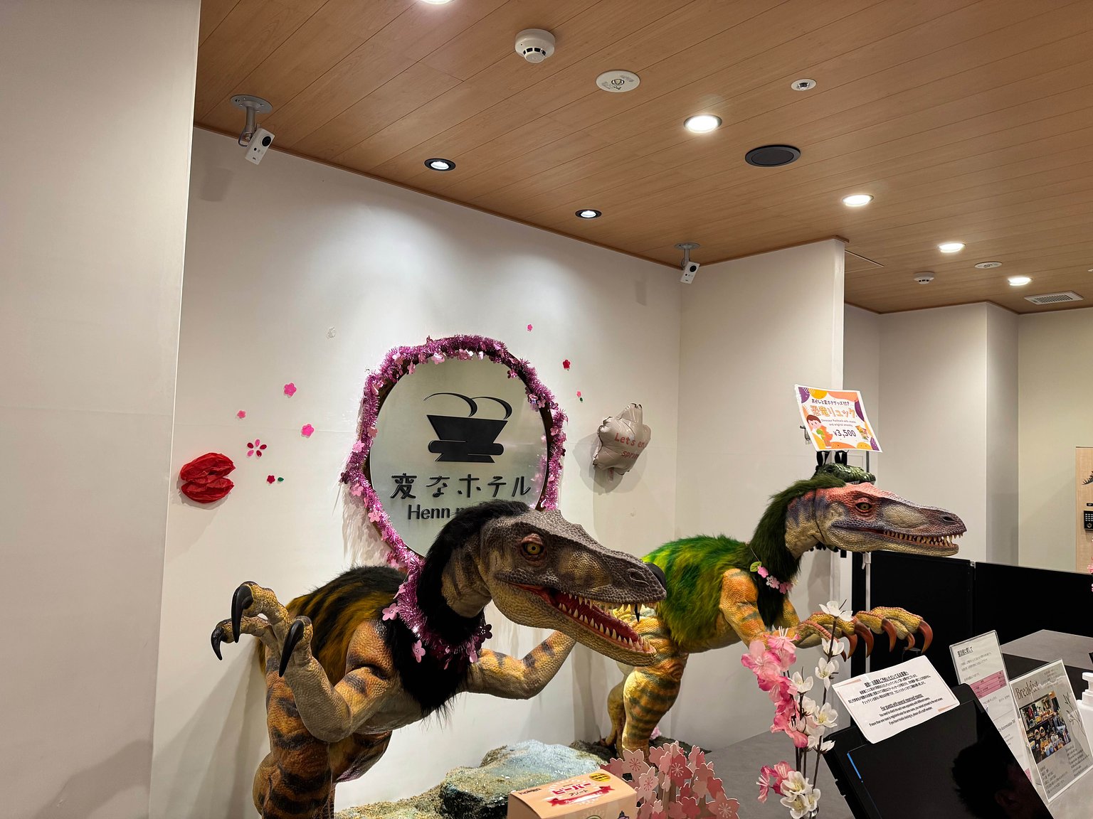 Enjoying Cherry Blossoms from Early Morning Night Cherry Viewing to Kanazawa Kenrokuen Night Illumination at the Strange Hotel