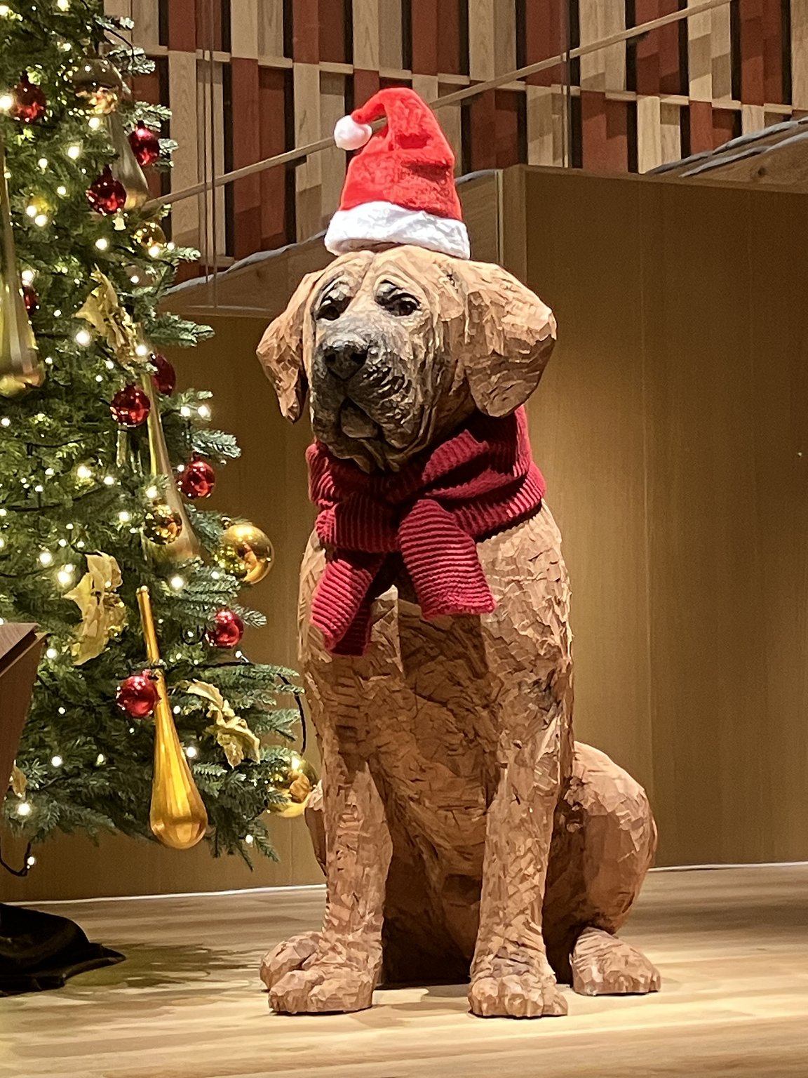 高知的週日早市行程 👍