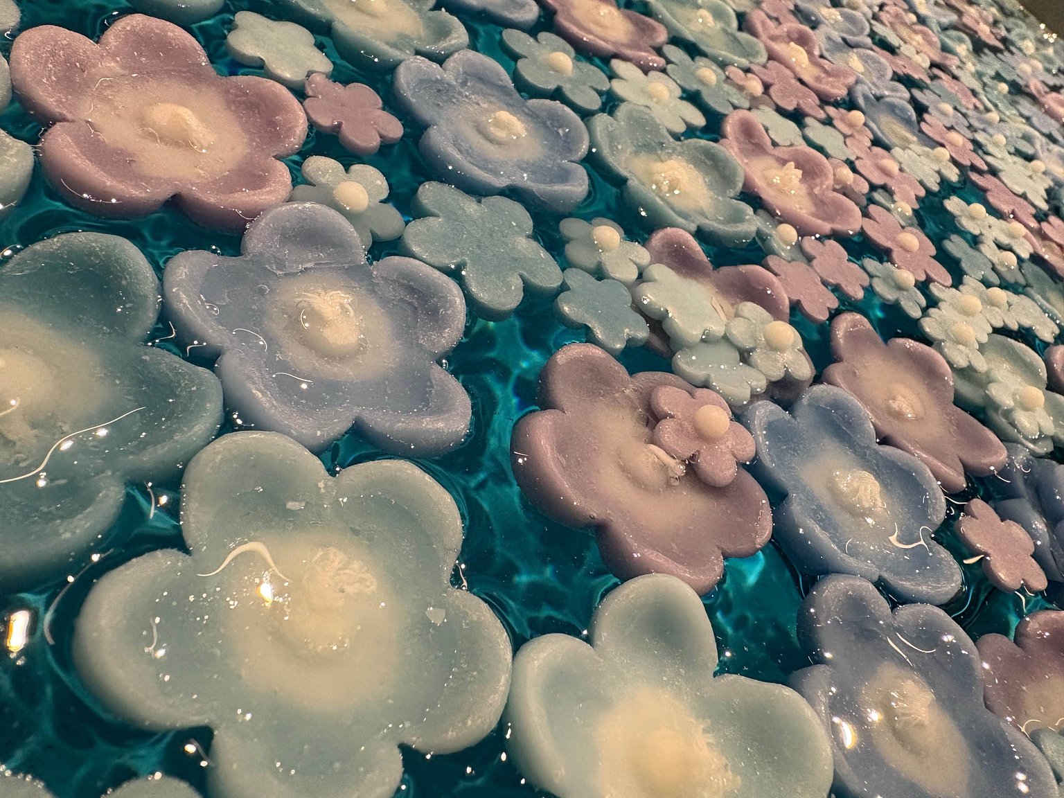 One Hour to Hitachi Seaside Park! Ideal for Nemophila Travel 🩵 Hotel Directly Connected to Tsuchiura Station!