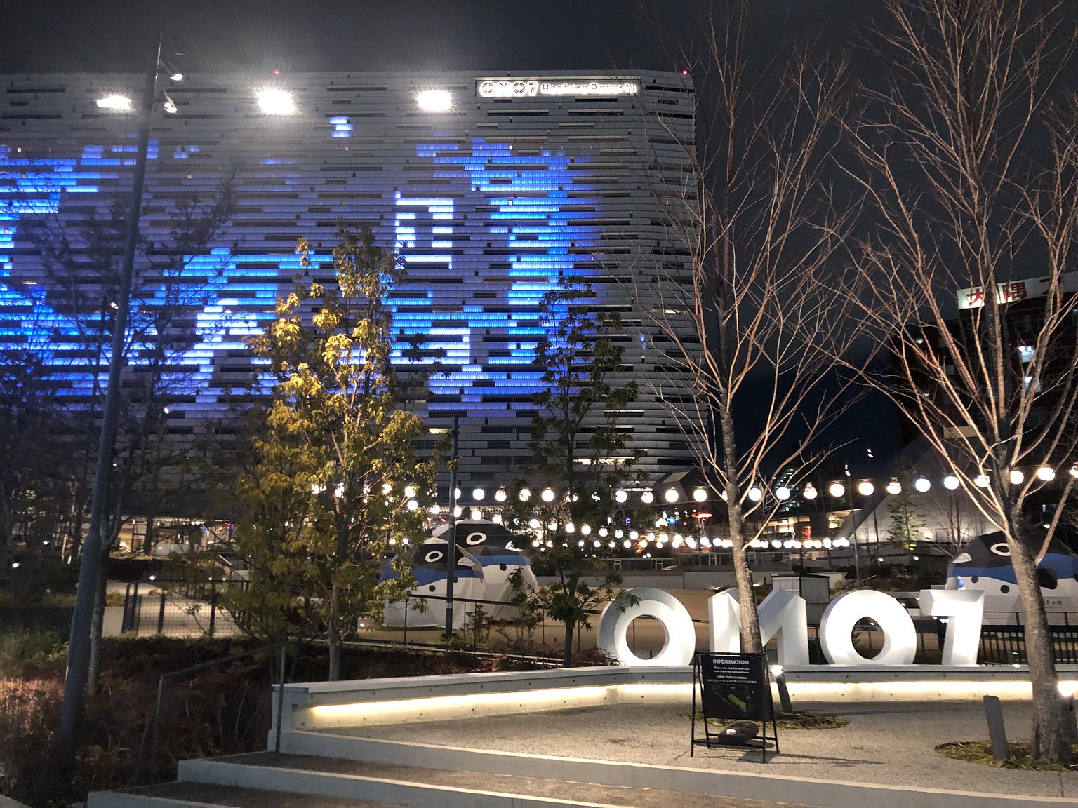 The Best Accommodation!