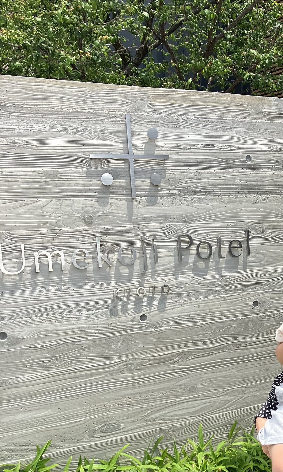 Recommended for Those Traveling with Kids to Kyoto: Main Attractions are the Kyoto Railway Museum and Kyoto Aquarium!