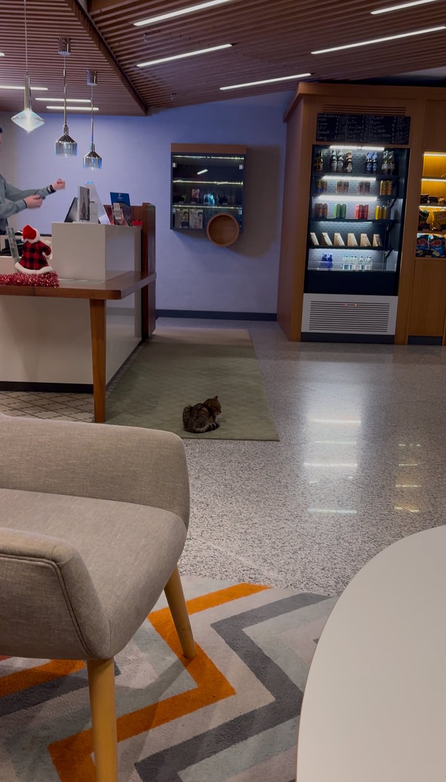 구시가지에 위치한 가성비 좋은 호텔