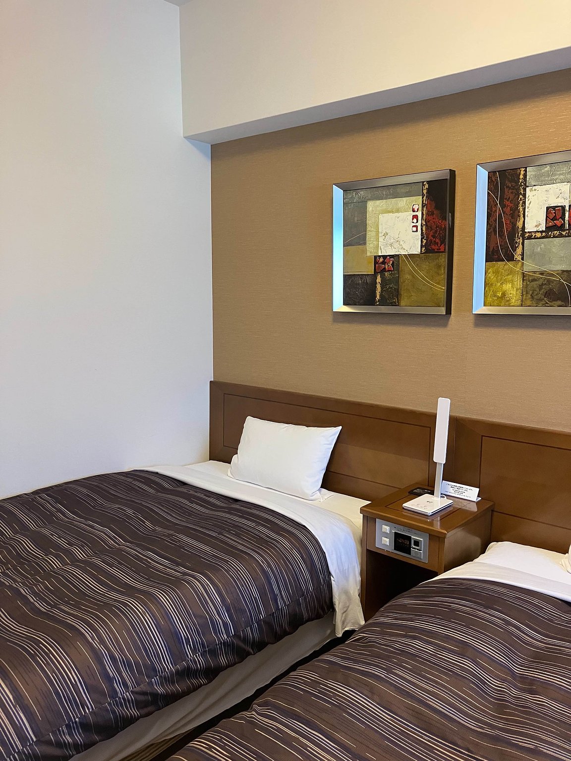 Business Hotel with Hot Springs