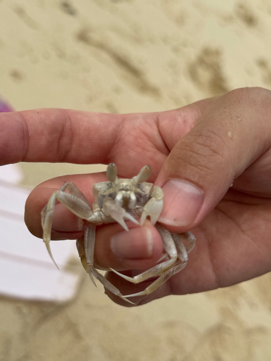 Business Hotel with Hot Springs