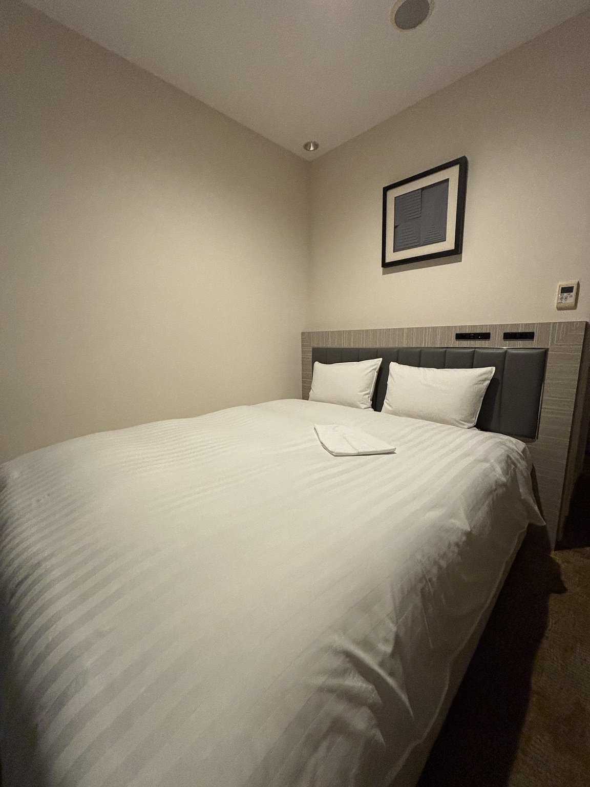 가고시마의 번화가 텐몬칸에서 숙박! 근처의 미식을 소개합니다