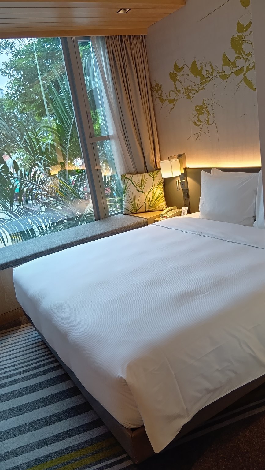 Just 4 Stations to Merlion🦁 Stay at Hilton for a Great Deal!