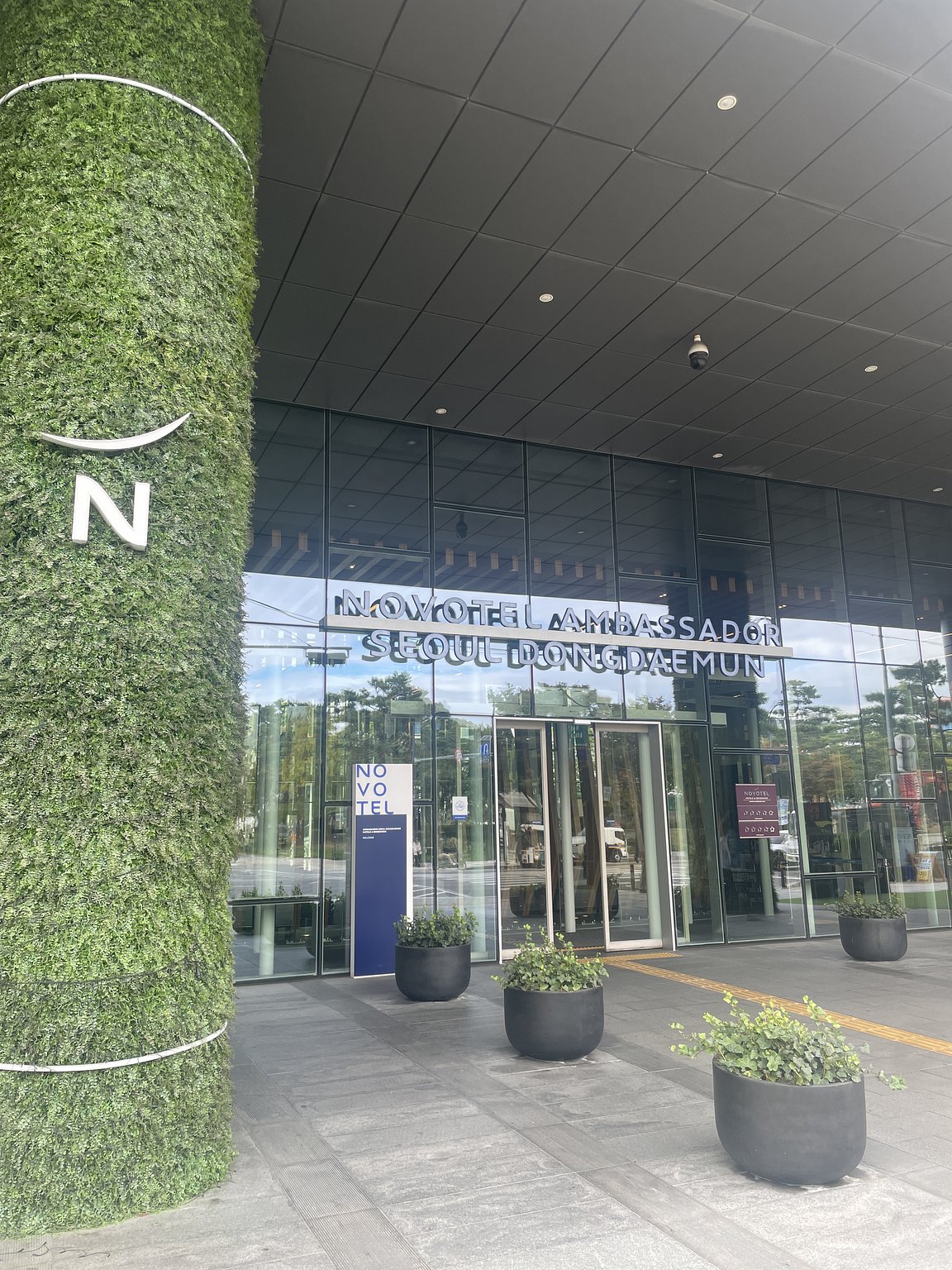 동대문 디자인 플라자 도보 거리! 조금 특별한 한국 스테이 🇰🇷