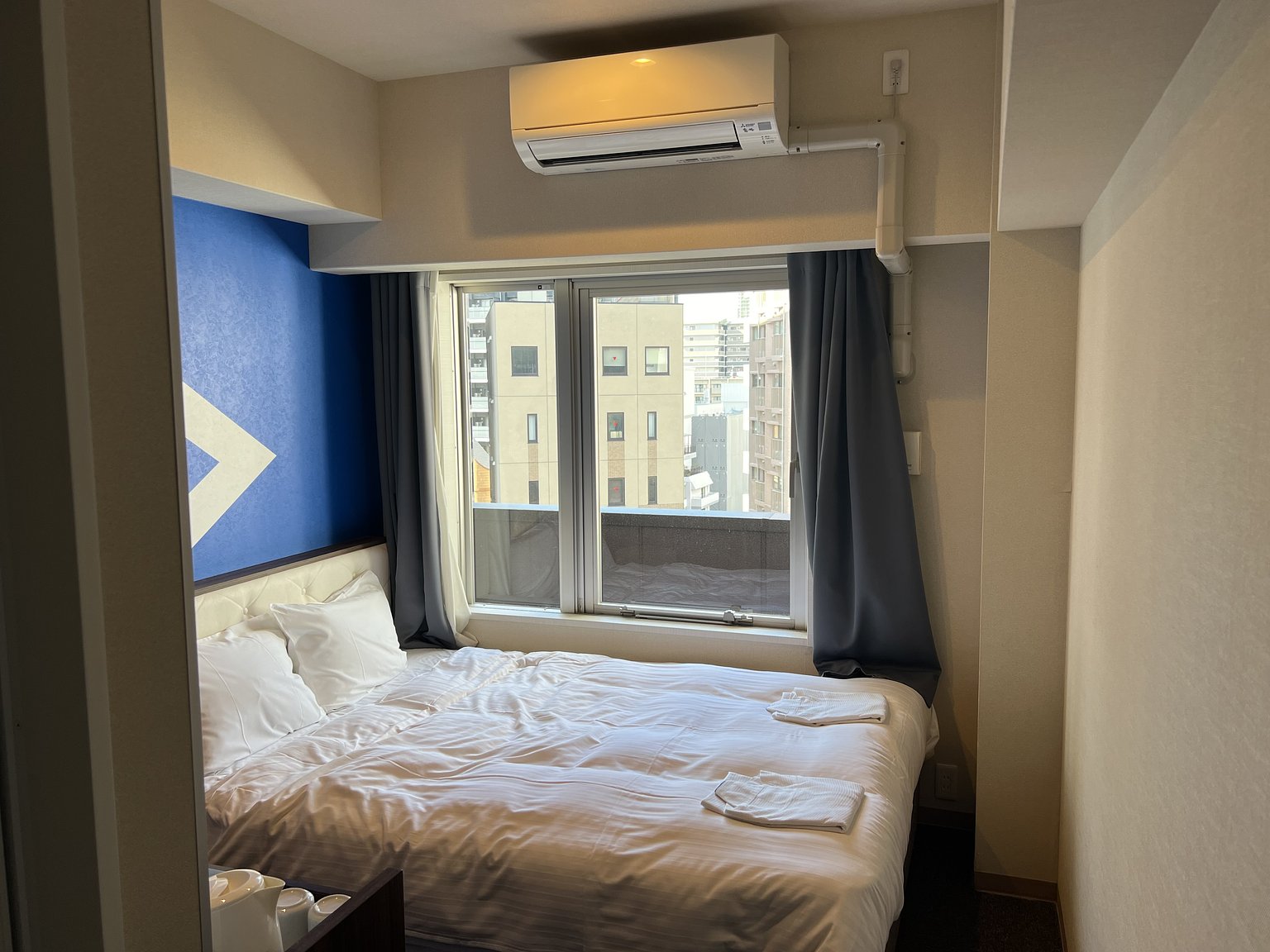 參加LiSA的音樂會在大阪城堡體育館