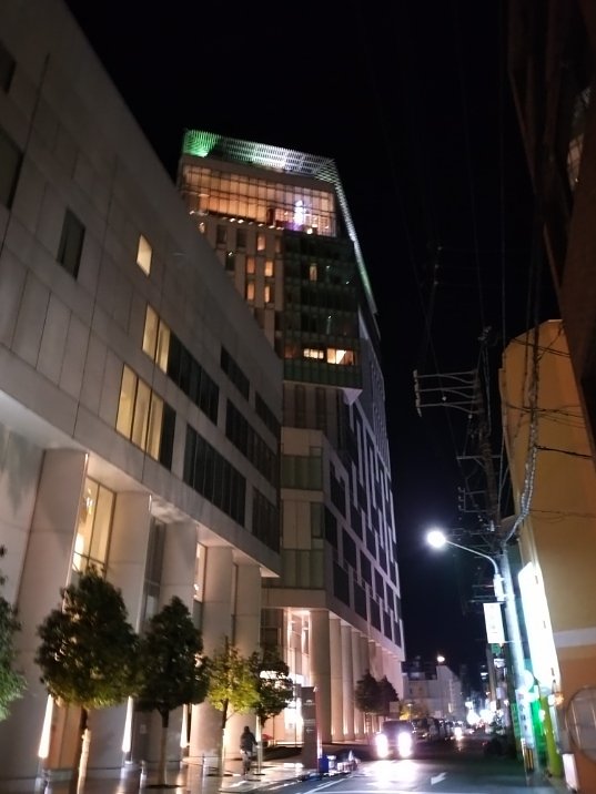 혼자 여행: 도요하시의 세련된 호텔에서 하천과 텐류 방문하기