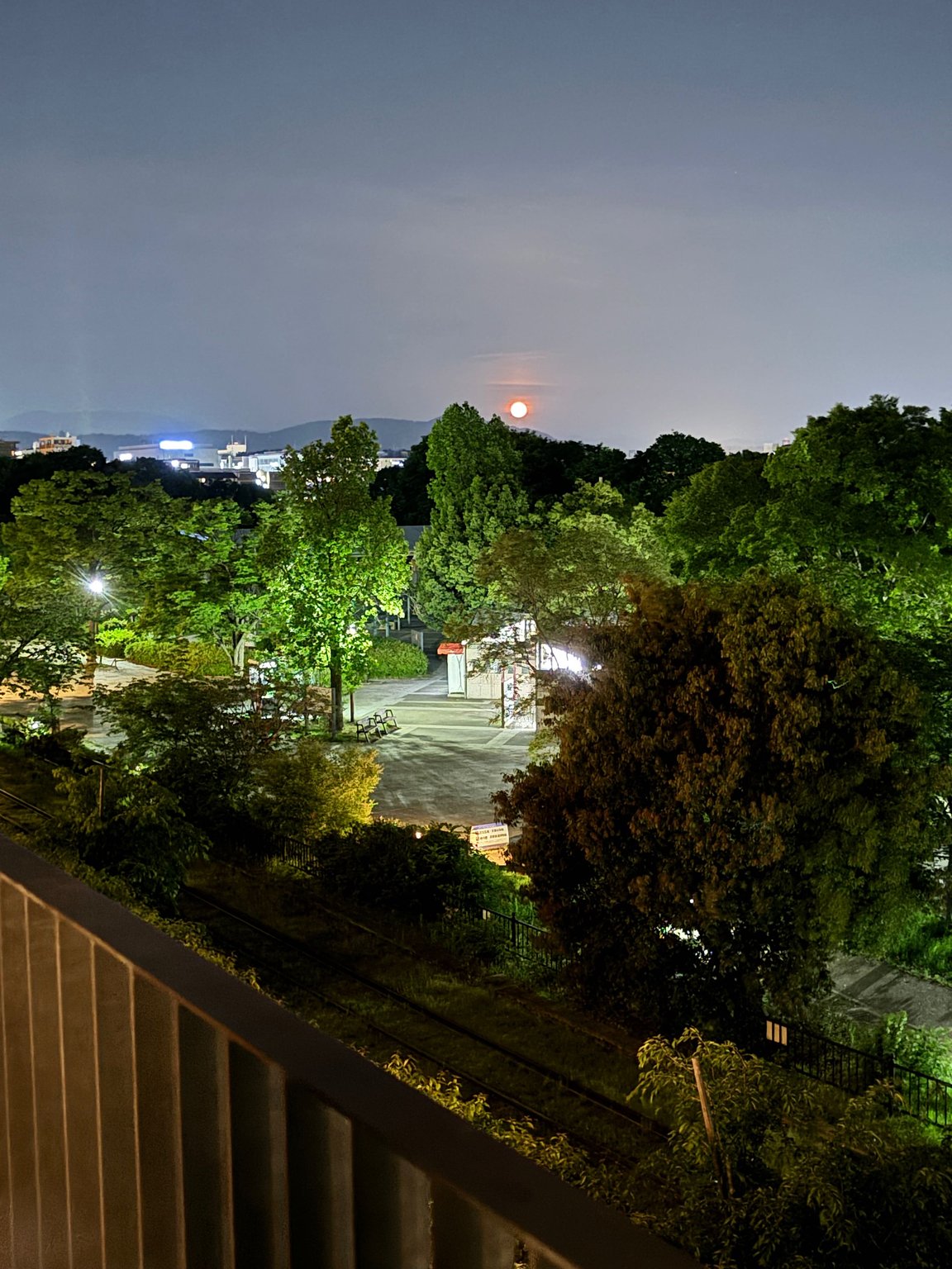 발코니가 최고! 무료 음료도 최고!