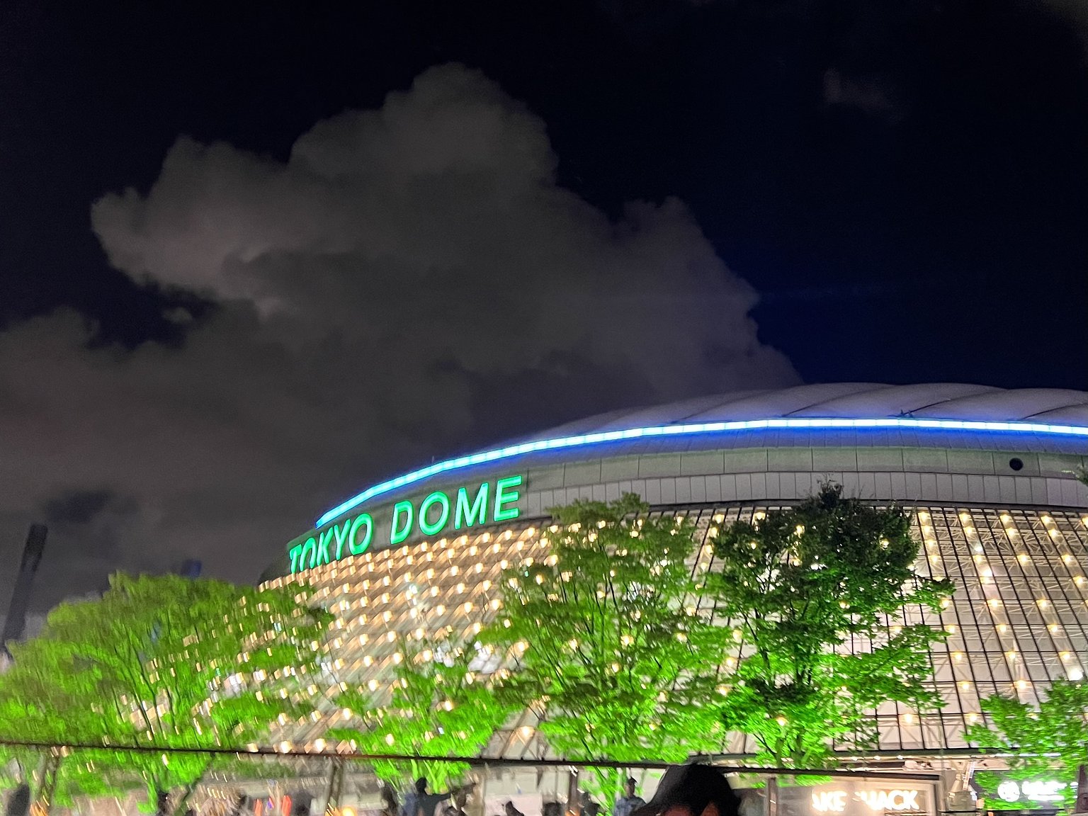 도쿄돔에서의 야구 관람