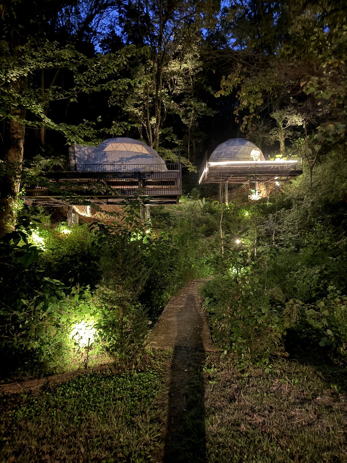 First Glamping with My Husband and Our Beloved Dog