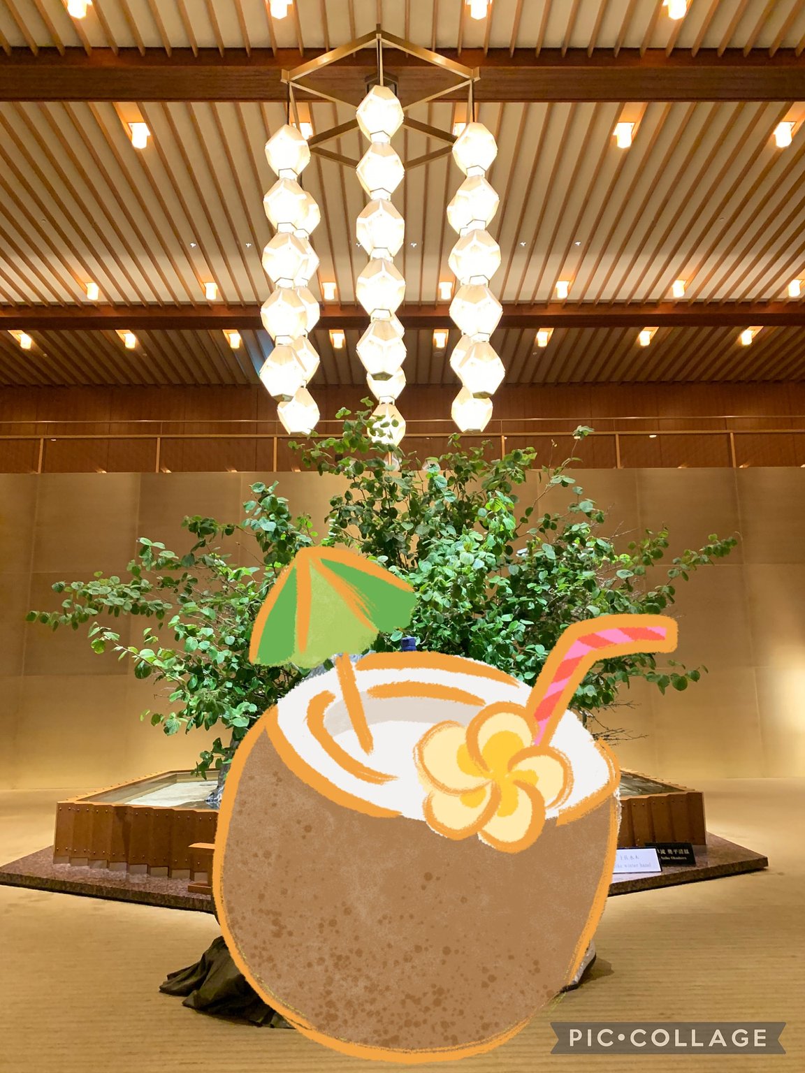 Satisfied with High Hospitality | Recommended Course for Families with Children