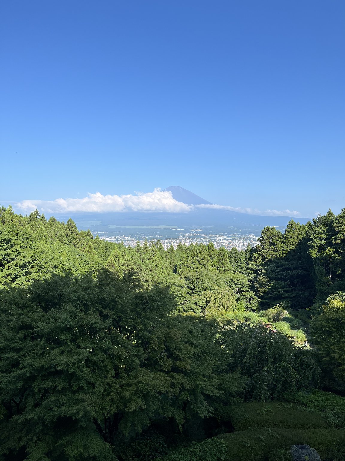 후지산이 보이는 멋진 숙소